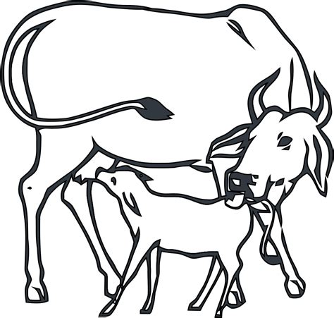 Cow Line Drawing | Free download on ClipArtMag