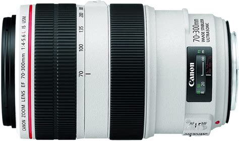 5 Best Lenses for Canon 90D - TechnoWifi