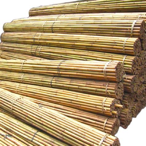 Sturdy and Reliable Bamboo Plant Support