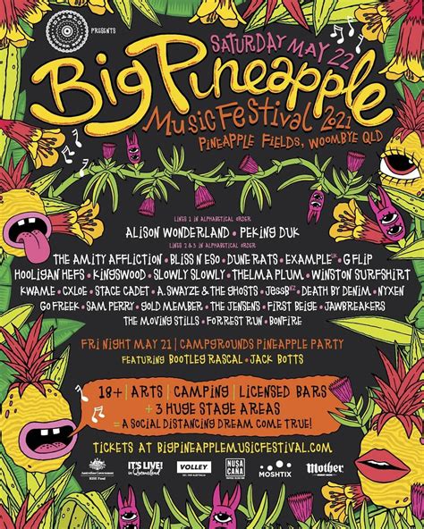 Big Pineapple Music Festival on Instagram: “Here it is Pineys 🍍, the moment you’ve all been ...