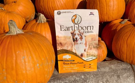 Pumpkin in Dog Food | Earthborn Holistic Pet Food