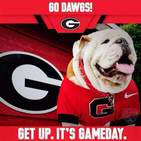 1799 best Go Dawgs! images on Pinterest | Game, Food and Football season