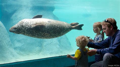 Pittsburgh Zoo and PPG Aquarium have announced a planned reopening date ...