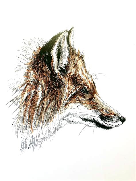 Coloured Fox Sketch - Etsy