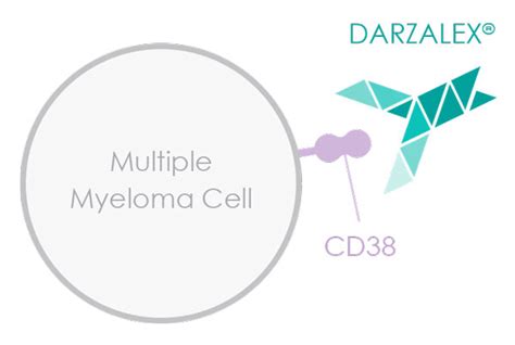 FDA Approves New Use for Daratumumab in Multiple Myeloma - National Cancer Institute