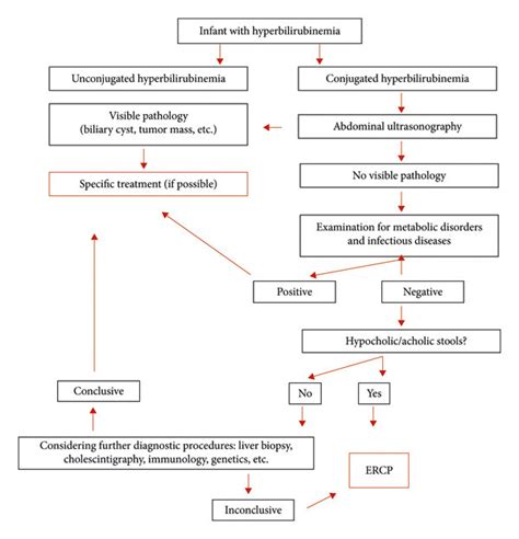 Diagnostic algorithm for conjugated hyperbilirubinemia. | Download ...