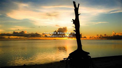 Nature Sound 13 - THE MOST RELAXING SOUNDS - | Nature sounds, Relaxing ...