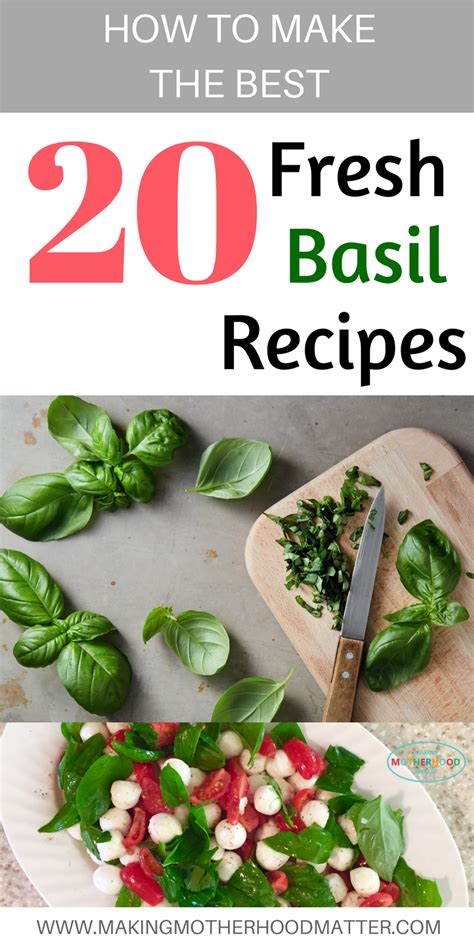 How to Make The Best 20 Fresh Basil Recipes | Recipe | Fresh basil recipes, Basil recipes, Fresh ...