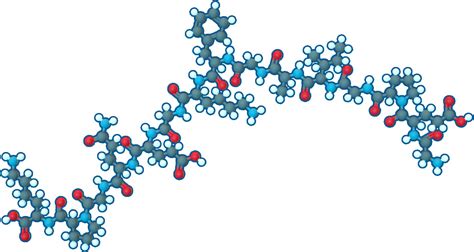 Collagen type-II | C106H174N32O37 | Supreme Pharmatech