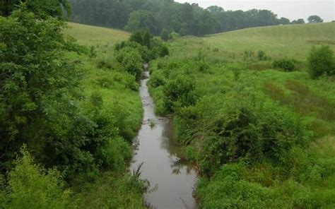 Maidford River Buffer Restoration Resources