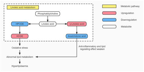 Map of linoleic acid metabolism pathway in HUA patients. Note: HPODE ...