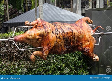 Pig on spit roast stock photo. Image of suckling, roasting - 183024156