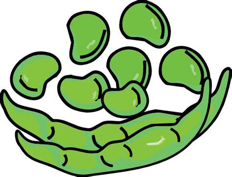 Free Bean Cliparts, Download Free Bean Cliparts png images, Free ...