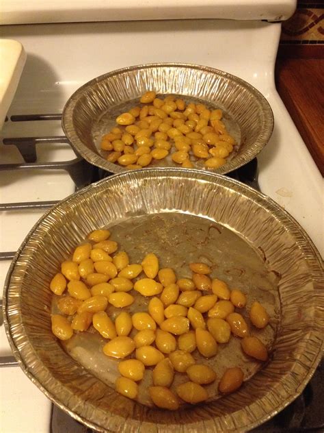 Roasted Ginkgo Nuts | Ginkgo nuts*, sesame oil, salt, roaste… | Flickr