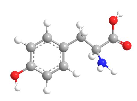 L-Tyrosine - American Chemical Society