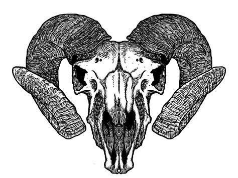 Dribbble - saos-goat-skull-2012-08-09-03_26_24.png by Simon H.