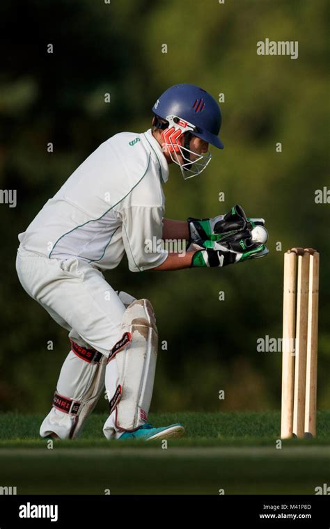 Download Free 100 + wicket keeper Wallpapers