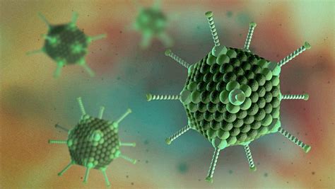 Canine Adenovirus 1 Antigen - The Native Antigen Company