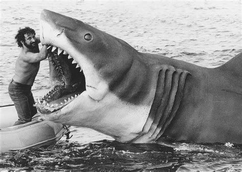 Which Jaws movie has the biggest shark? — The Daily Jaws