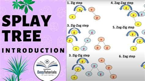 8.1 Introduction to Splay Tree - YouTube