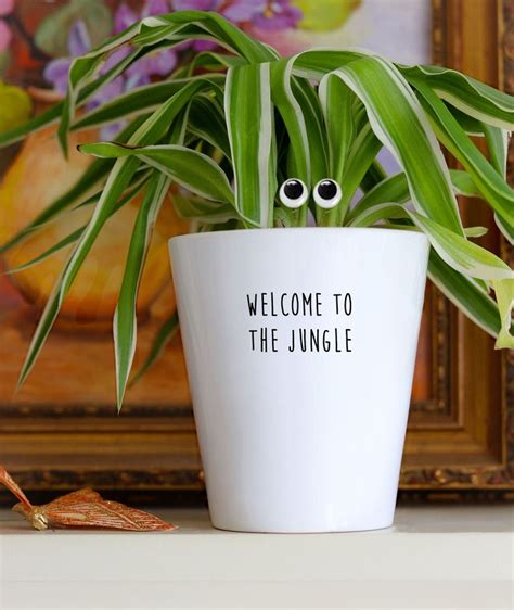 Welcome To The Jungle | Funny Plant Pot | Plant Pun | Gift for Plant ...