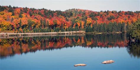 Fall Colors Ontario 2024 - Evvie Wallis