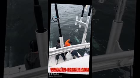 Insane Deep Sea Rock Fishing - POBSE