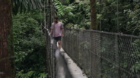 2,627 Hanging Bridge Forest Stock Video Footage - 4K and HD Video Clips | Shutterstock