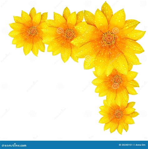 Yellow flower border stock image. Image of natural, color - 20240151