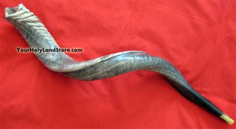 AUTHENTIC KOSHER HALF POLISHED SHOFAR