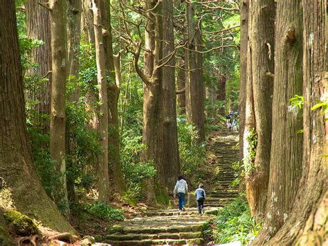 Hiking the Kumano Kodō: Japan's ancient pilgrimage route - Lonely Planet