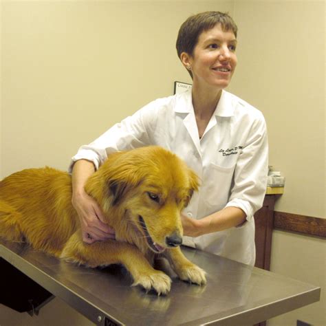 Montana Veterinary Dermatology