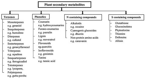 IJPB | Free Full-Text | Bioactive Secondary Metabolites from Plant ...