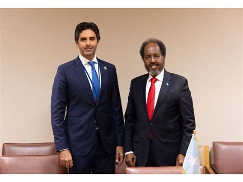 Somali President Meets Special Envoy of Minister of Foreign Affairs