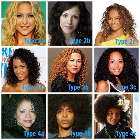 natural hair types | Natural hair types, Hair type chart, Curly hair types