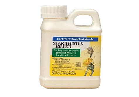 5 Best Weed Killer & Herbicide For Thistle Reviews 2021