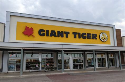 GIANT TIGER - Updated January 2025 - 27 Photos - 370 Main Street N, Brampton, Ontario, Canada ...