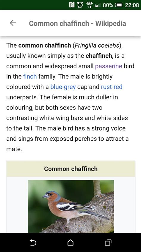 BirdNerd: Bird Song Identifier for Android - Download