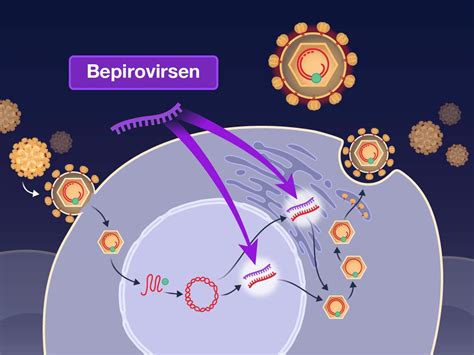 Quick Take: Bepirovirsen in Chronic Hepatitis B Infection | Patients with chronic hepatitis B ...