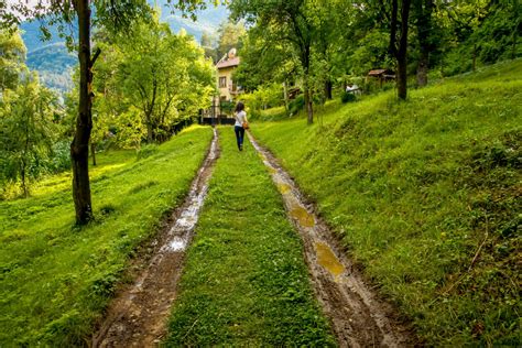 Free Images : forest, grass, walking, girl, woman, trail, meadow, countryside, dirt road, rural ...