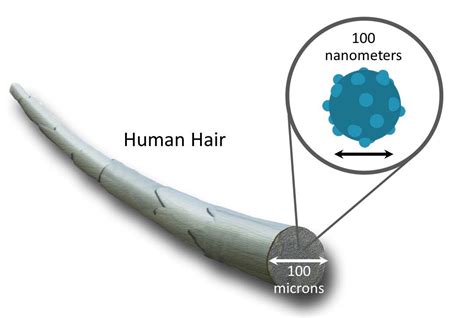 Carbon Nanotubes for Solar Energy (1/2) | by Alishba Imran | Medium