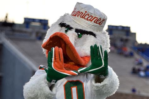 Miami Hurricanes Mascot: The History Behind Sebastian the Ibis