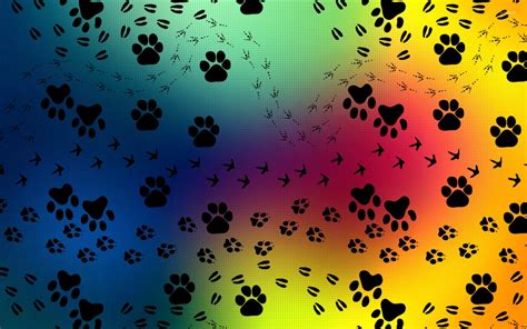 Paw Print Wallpaper (38+ pictures) - WallpaperSet