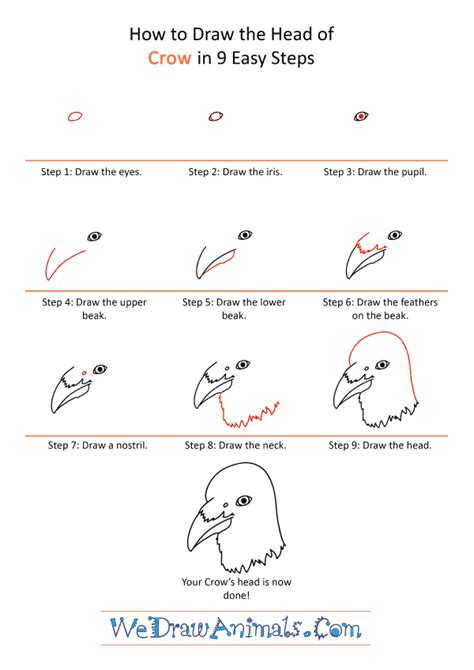 How to Draw a Crow Face