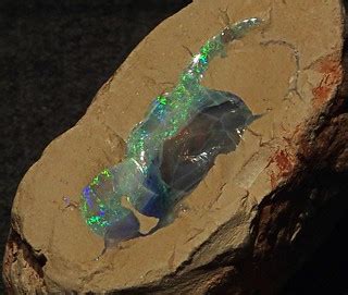 Precious opal in silicified claystone (Griman Creek Format… | Flickr