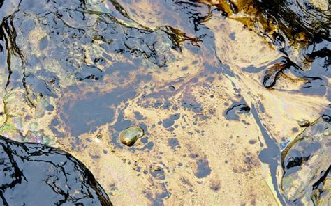 How Do Oil Spills Affect the Environment? | Greentumble