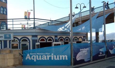 Santa Monica Pier Aquarium, Santa Monica, CA - California Beaches