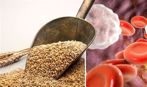 High cholesterol: Plant sterols found to lower levels | Express.co.uk