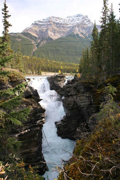 Athabasca Falls - Waterfall with a Pretty Mountain Backdrop