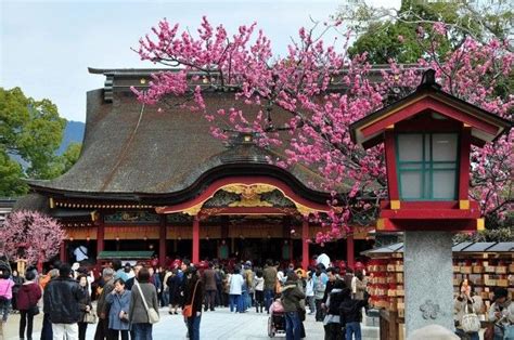 Dazaifu Tenmangu Shrine to see Plum Blossoms